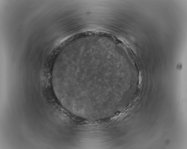 X0000097290822200803071730