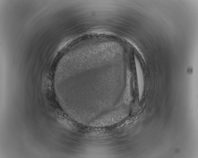 X0000097290823200803071730