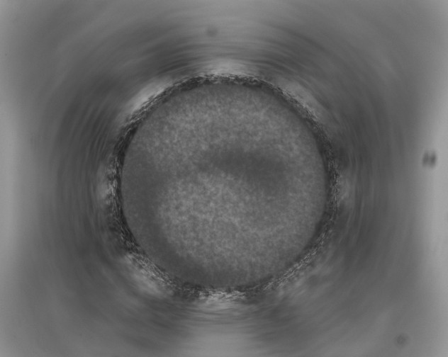 X0000097290824200803071730