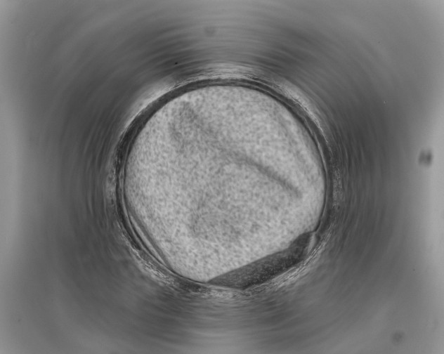 X0000097290827200803071730