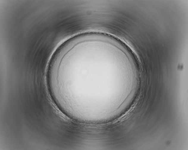 X0000097290832200803071730