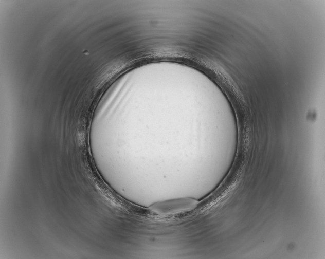 X0000097290833200803071730