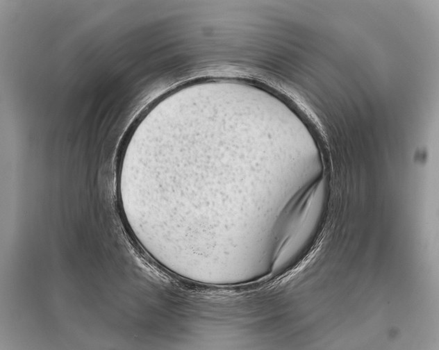 X0000097290837200803071730