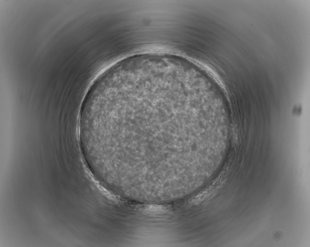 X0000097290839200803071730