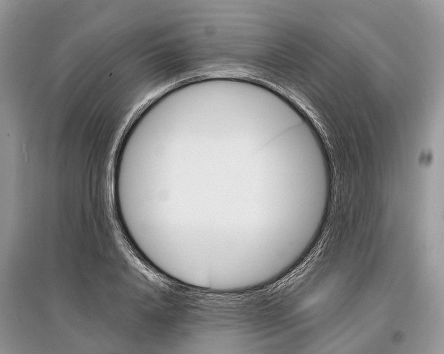 X0000097290840200803071730