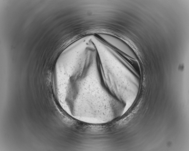 X0000097290849200803071730