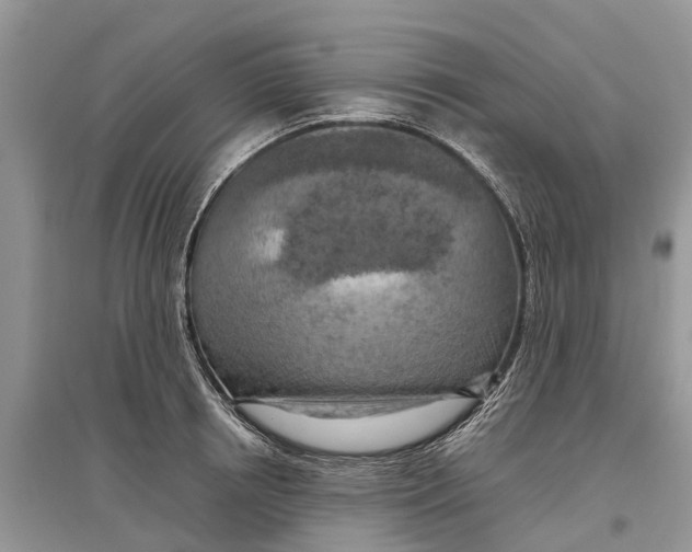 X0000097290850200803071730