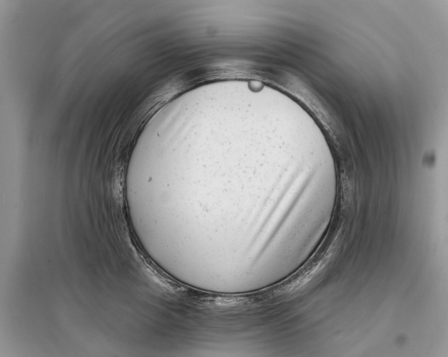 X0000097290857200803071730