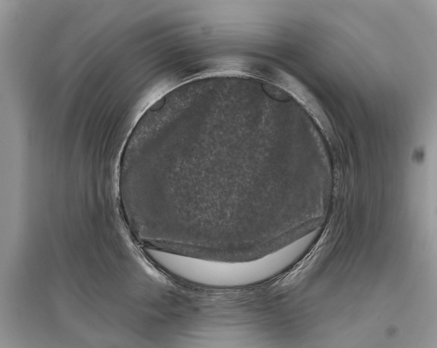 X0000097290858200803071730