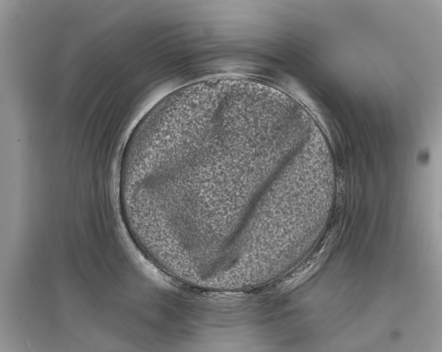 X0000097290859200803071730
