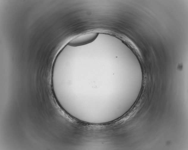 X0000097290860200803071730