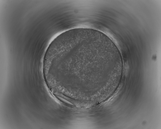 X0000097290862200803071730