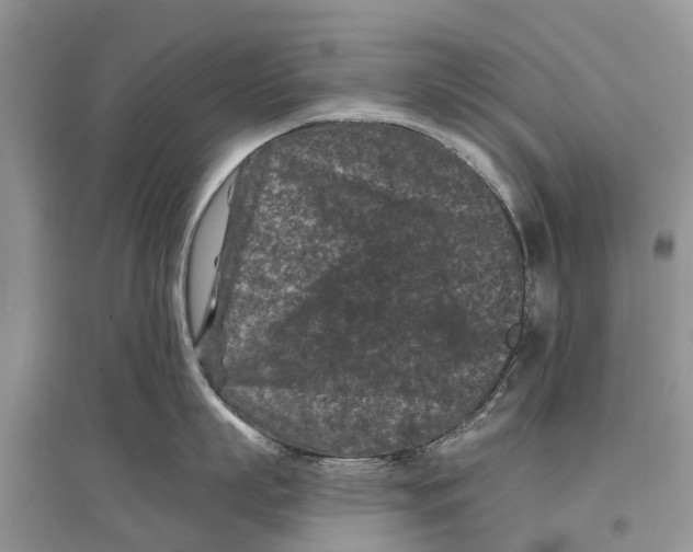 X0000097290863200803071731