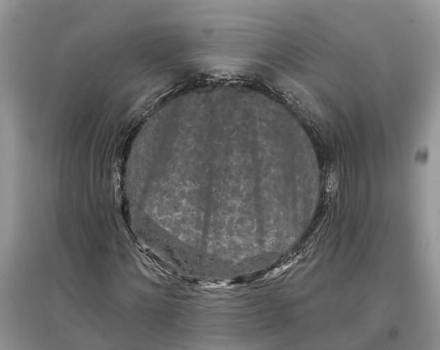 X0000097290868200803071730