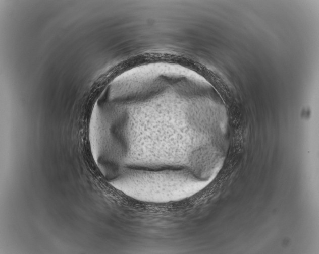 X0000097290870200803071730