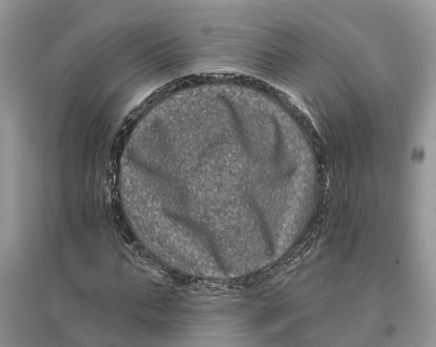 X0000097290871200803071730