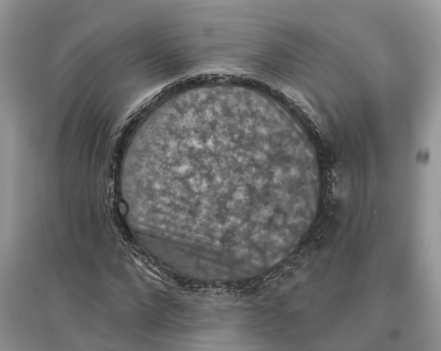 X0000097290872200803071730