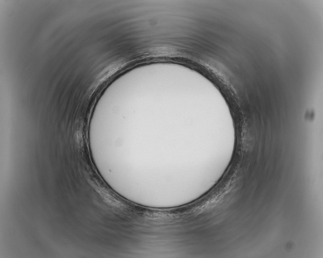 X0000097290873200803071730