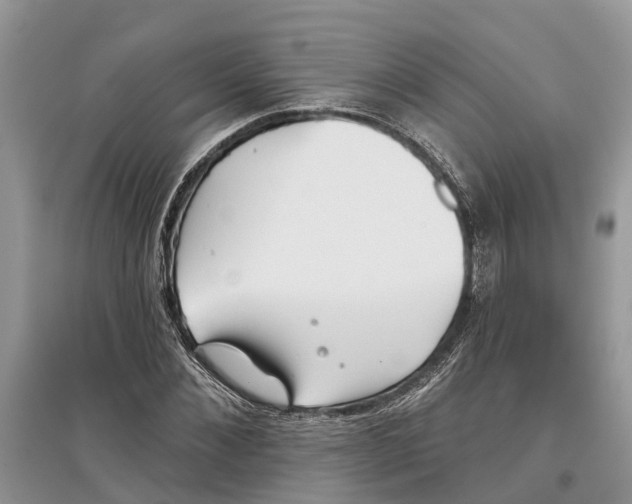 X0000097290876200803071730