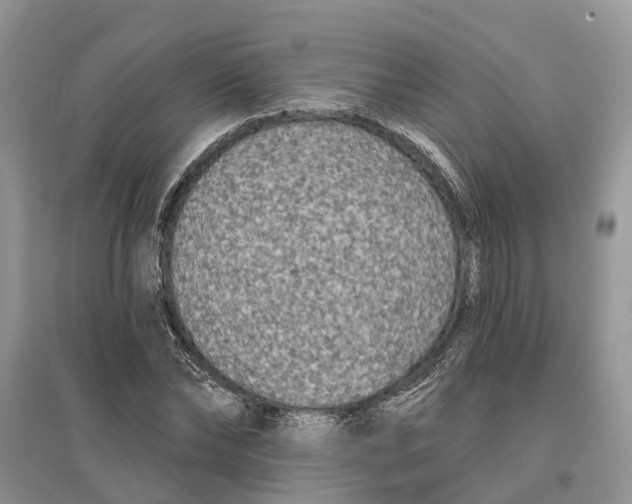 X0000097290878200803071730