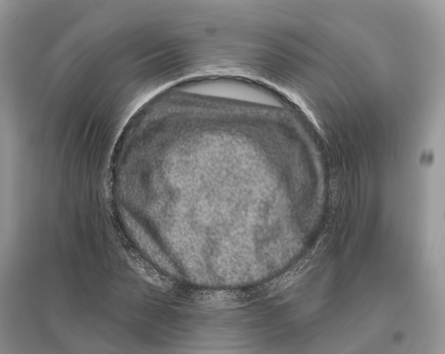 X0000097290879200803071730