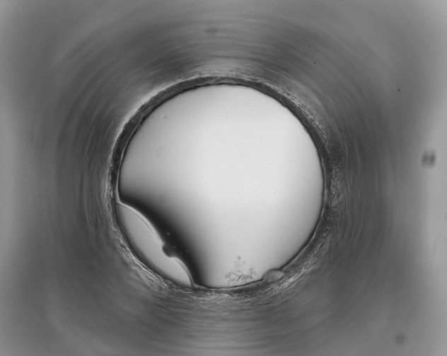 X0000097290880200803071730