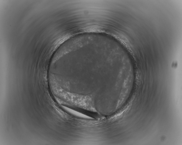 X0000097290881200803071730