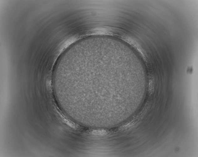 X0000097290882200803071730