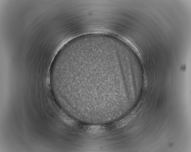 X0000097290883200803071730