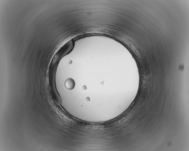 X0000097290884200803071730