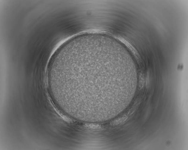 X0000097290886200803071730