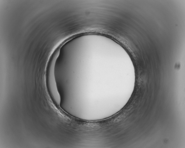 X0000097290888200803071730
