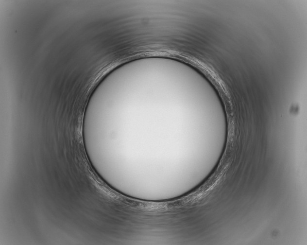X0000097290889200803071730