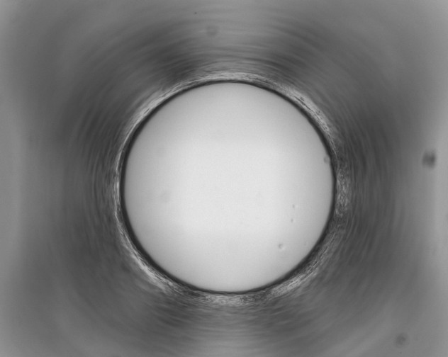 X0000097290890200803071730