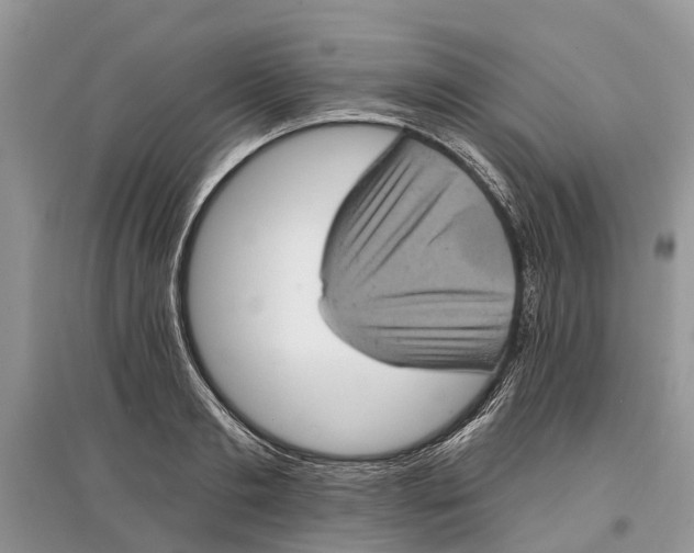 X0000097290893200803071730