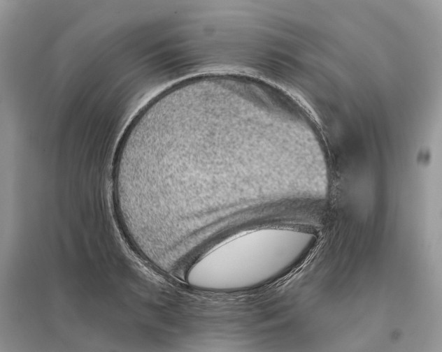 X0000097290895200803071730