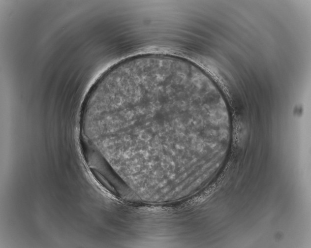 X0000097290896200803071730