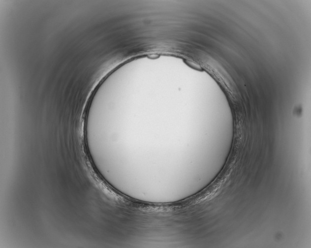 X0000097290900200803071729