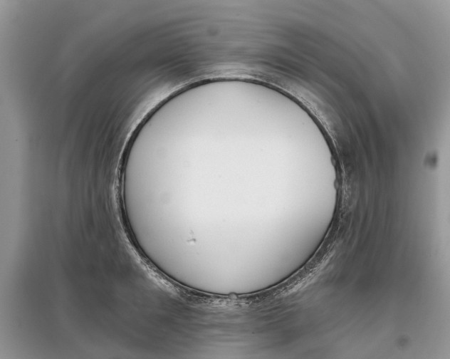 X0000097290901200803071729