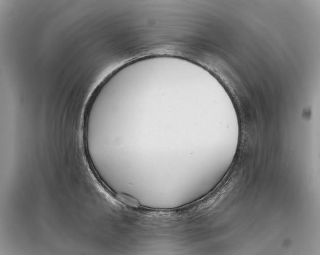 X0000097290902200803071729