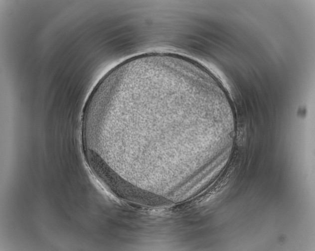 X0000097290903200803071729
