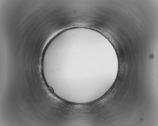 X0000097290904200803071729