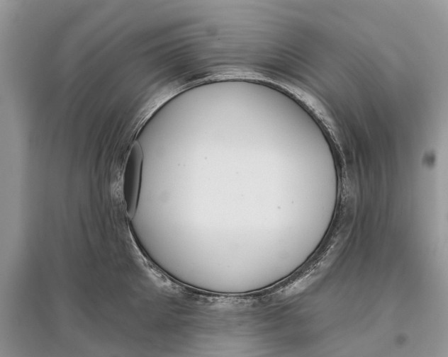 X0000097290905200803071729