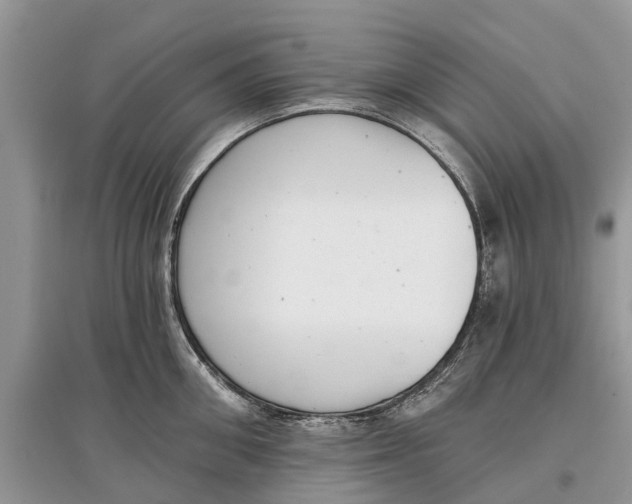 X0000097290906200803071729