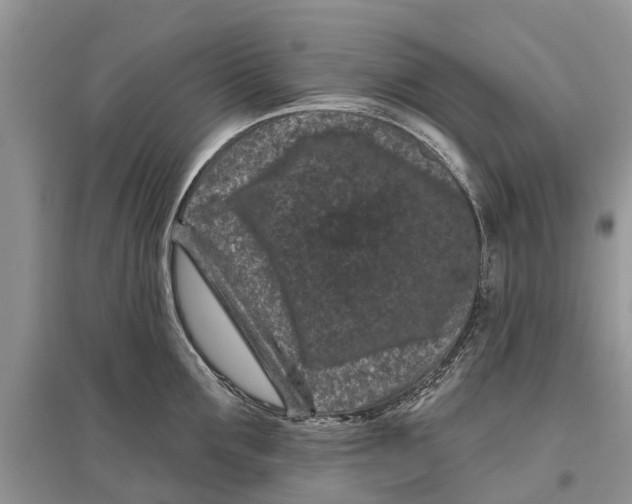 X0000097290907200803071729