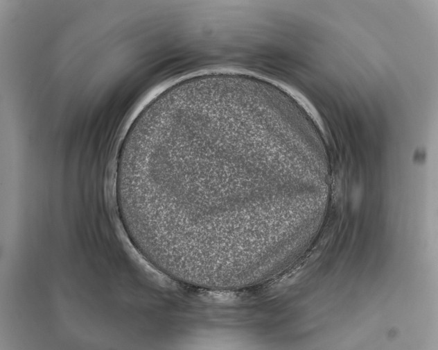 X0000097290911200803071729