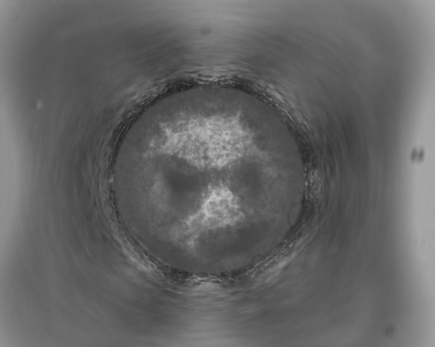 X0000097290913200803071729