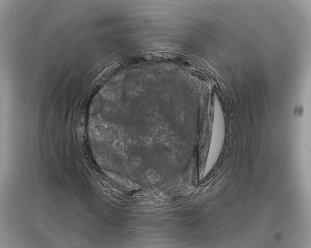 X0000097290915200803071729