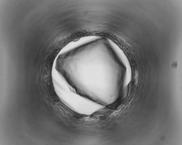 X0000097290917200803071729