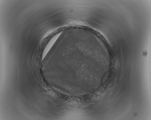 X0000097290919200803071729